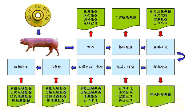 Ninetowns Internet Technology Group Company Limited 從軟件外包到食品流通追溯的跨界轉(zhuǎn)型之路